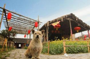 吃瓜娱乐咩咩羊,揭秘娱乐圈幕后故事 第3张 吃瓜娱乐咩咩羊,揭秘娱乐圈幕后故事 第3张